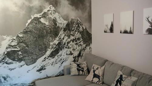 Bilocale I cervi a pochi passi dalle piste con vista Mondolè - Foto 5