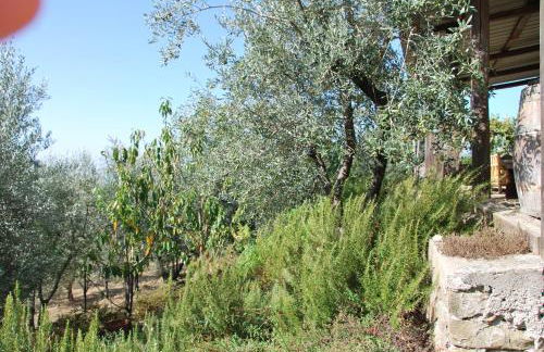 Il Frantoio, Loft rurale, con bbq e giardino in Pontifogno - Foto 6