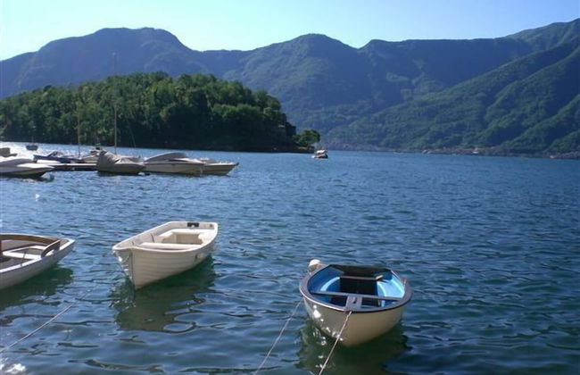 Giardino Fiorito - Foto 15