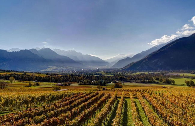 Apartment Near Pizol - Foto 30