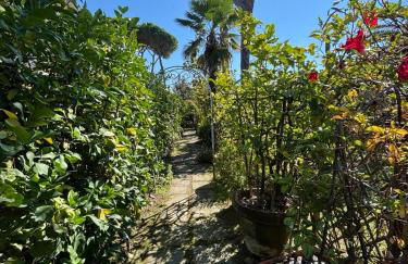 Il Sole in Terrazza - A due Passi dal Mare - Private Garden - Foto 23