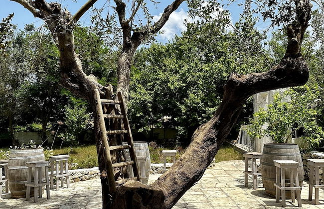 L'Aia di San Giorgio - Foto 29