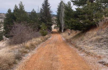 El Cerrito de la Vega - Foto 40