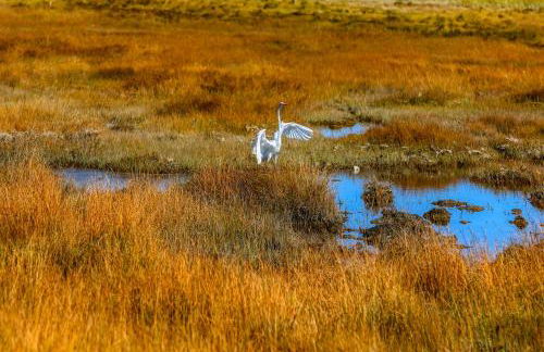 Cottage on the Cove - Foto 48