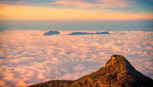 ¡Subiremos hasta la parte más alta!