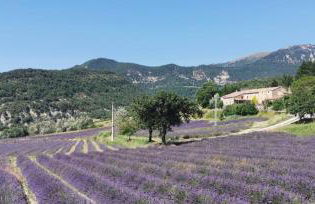 Gîte moderne en Drôme - Photo 17