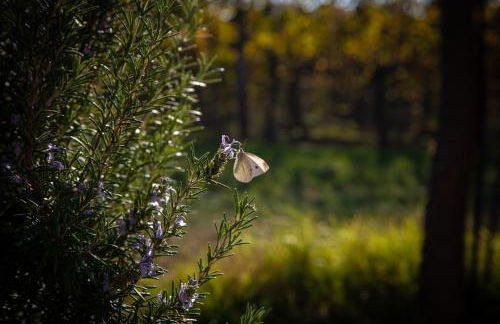 Le Stanze di Bacco - Photo 38