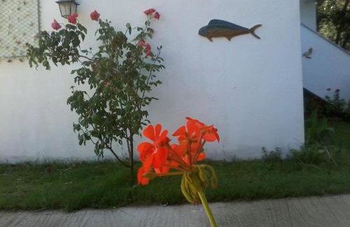 Studios Kofos Limin - Foto 7