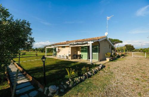 Il giardino di nunzia - Foto 10