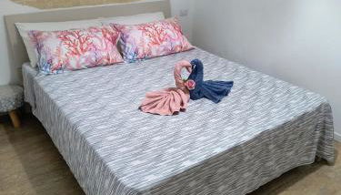 Ville Scelsa - Foto 5