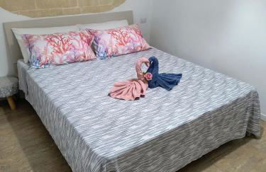 Ville Scelsa - Foto 5