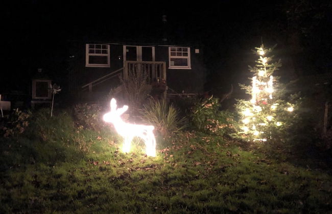 1 Bedroom Cabin Sleeps 2, Private Garden, Wifi - Foto 21