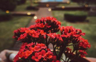 Villa Paquita - Delta de l'Ebre - Foto 10