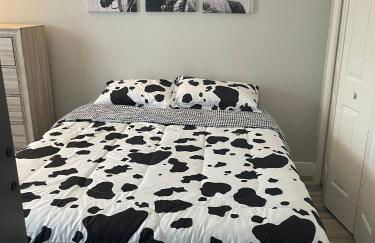 Casa Azul Sarasota Retreat - Foto 15