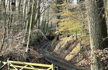 Garden Cottage - Foto 21