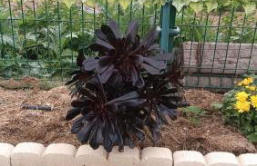 Escapada de ciudad al aire libre - Photo 31