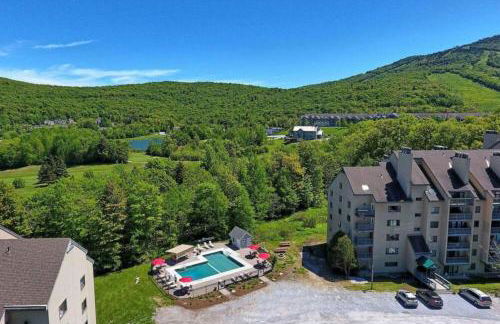 LilBear- AC, Pool, Sauna, Hot Tub, Near Resort - Foto 26