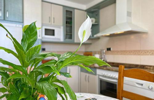 Casar Rural Lazkua I-II - Foto 43