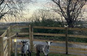 terfyn hall holiday apartment 3 stargazer - Foto 36