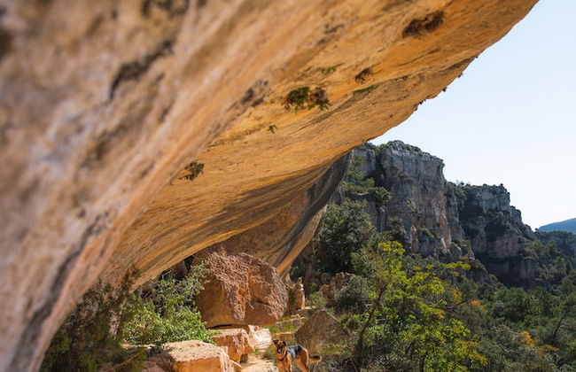 Mas de l'Arlequi Casa rural - Foto 24