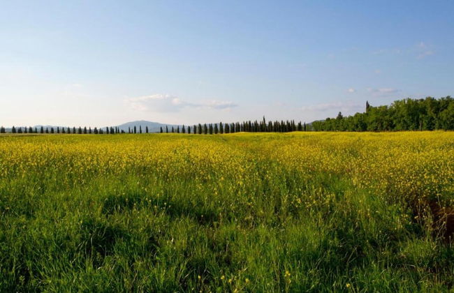 Lovely Farmhouse in Monticiano With Garden - Foto 42