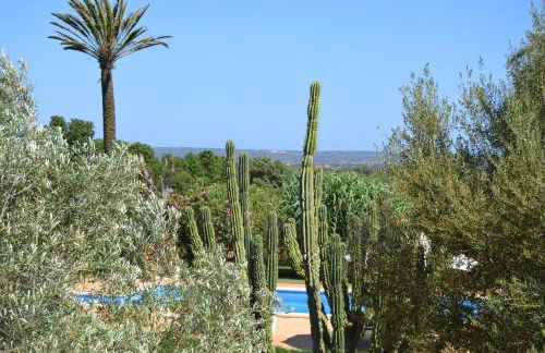 Agroturismo Finca Son Sala - Photo 37