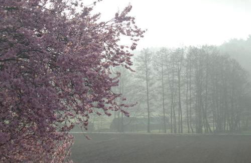 Ferienhof Meyer - Foto 39