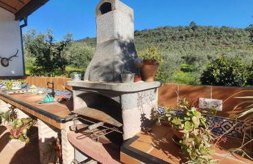 Huerta Carrión, Finca en El Pedroso - Foto 10