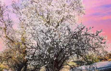 Casa Di Caro - Foto 24