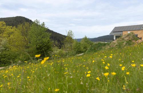 Buhlbach, Black Forest Retreat, mit Sonnenterrasse - Foto 17