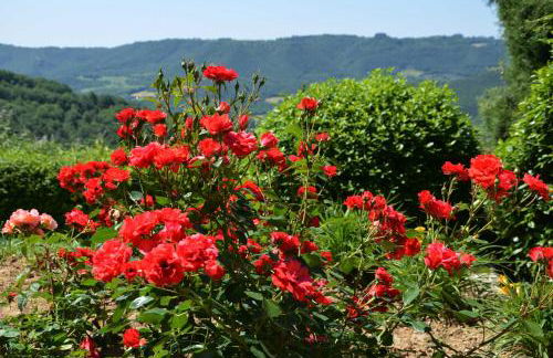 Il Poggiolo di Parrano - Foto 35