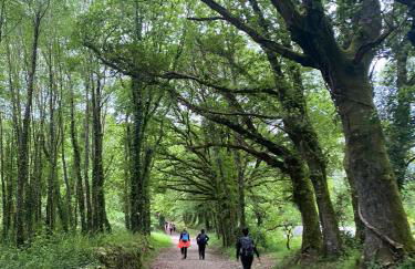 A casa do avó - Foto 59