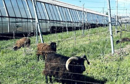 Lakefront View Entire Apartment with 2 bedrooms, 2 full bathrooms & Balcony Waterview - Foto 14