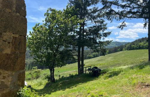 Maison de vigne rénovée à Langeac, nature et randonnées - FR-1-582-86 - Foto 20