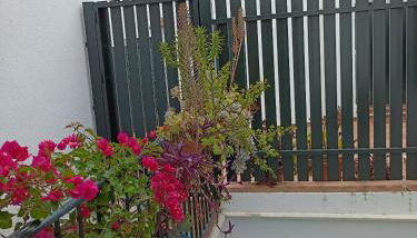 Beautiful Duplex with a Patio - Photo 2