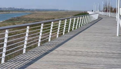 RACINES MARINES - Foto 2