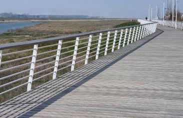 RACINES MARINES - Foto 2