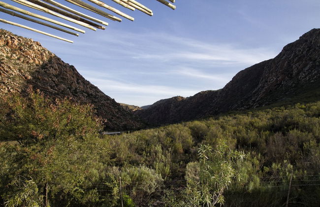 Kogman and Keisie Guest Farm - Foto 43