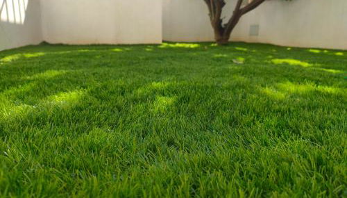 Casa Phimes - Foto 3, Garden