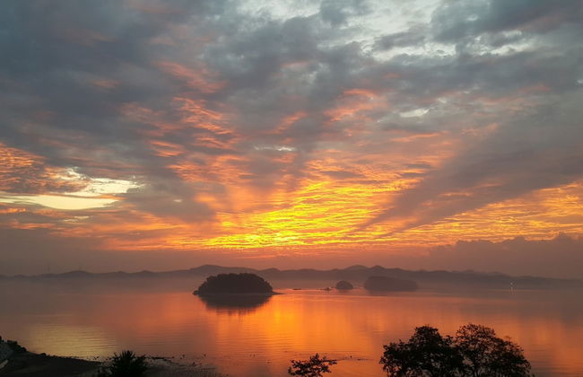 Seon Jae 465 - Foto 64