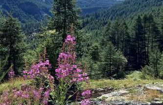 Appartement vue exceptionnelle, parking privatif, piscine - Foto 40