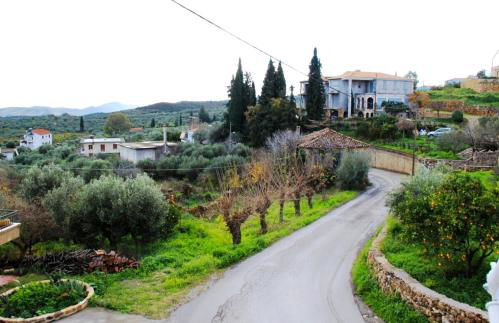 Artemis House - Photo 15