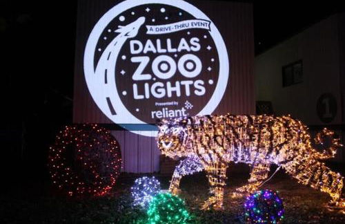 New Modern Dallas Skyline Rooftop Firepit and a Garage - Foto 40