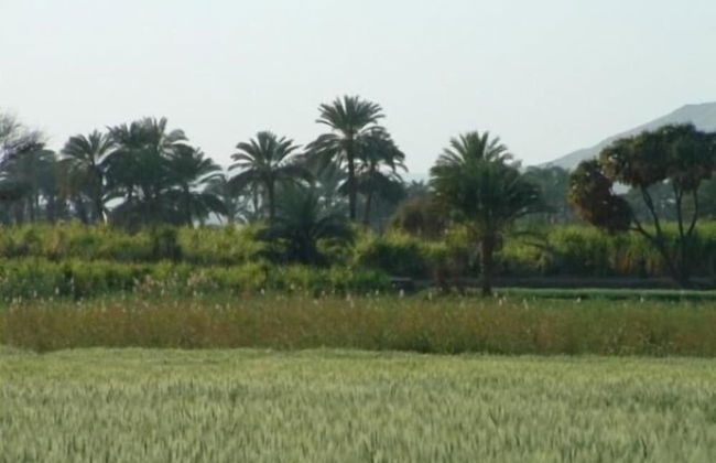 Home Sweet Home Luxor Apartments - Foto 11