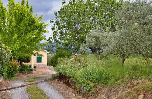 Olive by Nature Yards - Photo 42