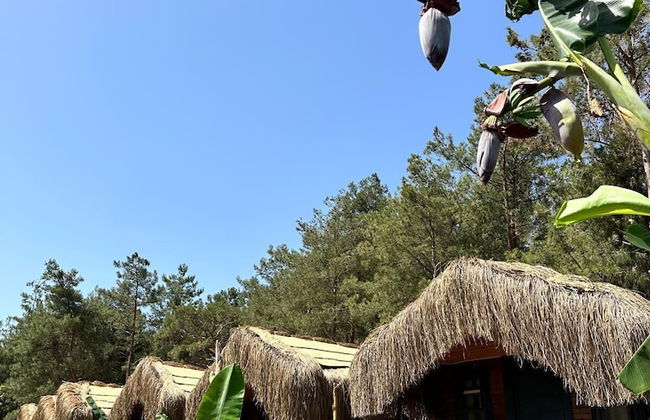 Pine Village Bungalows Ölüdeniz - Foto 47