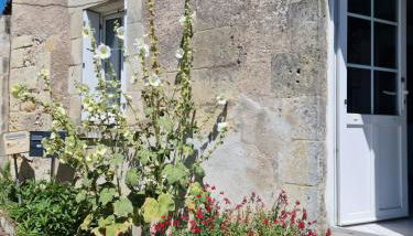 La Loge de Gabrielle - gîte - 3 étoiles - Photo 4