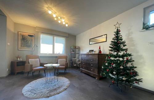 Chez L en Alsace Maison indépendante 8 pers Jardin & Cour privative - Photo 26