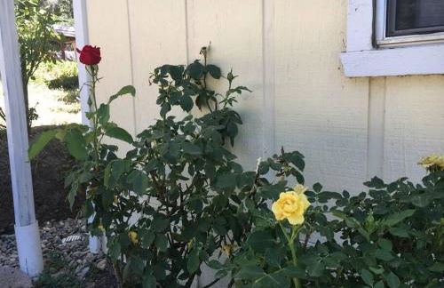 Sierra Sunset Cottage -Yosemite area vacation cottage - Foto 41