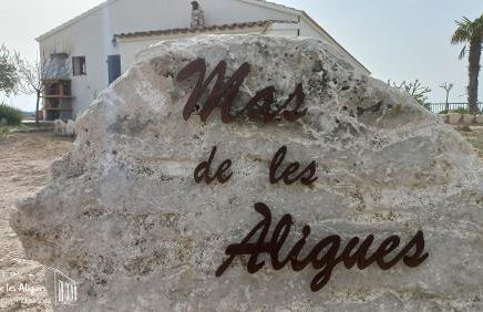 Casa Rural Mas de les Àligues - Photo 8